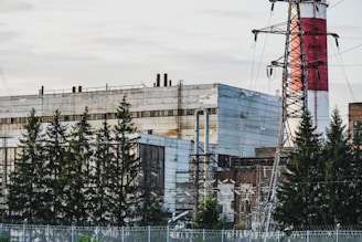 An industrial complex with large factory buildings, a tall red and white striped chimney, and metal power lines in the foreground. Tall evergreen trees partially obscure some of the structures.