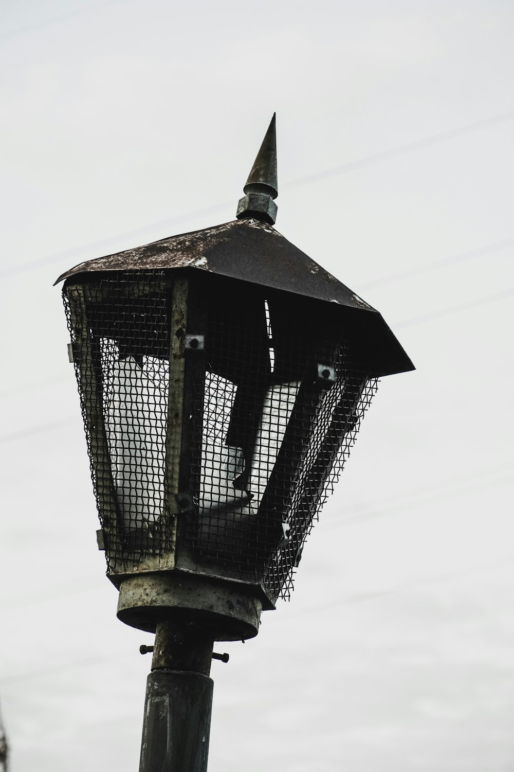 a lamp post with a bird perched on top of it
