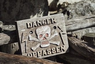 a wooden sign with a skull and bones on it