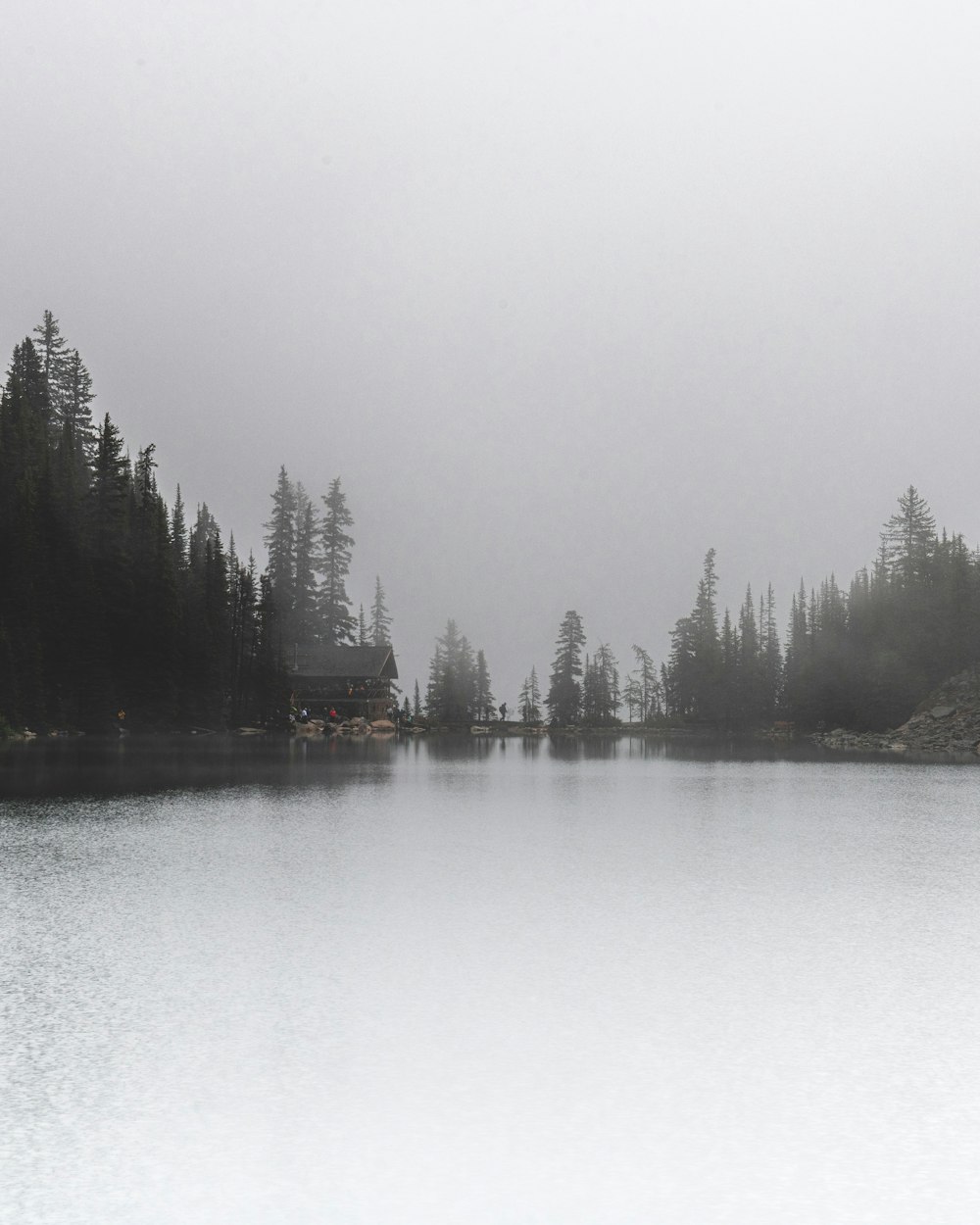 a large body of water surrounded by trees