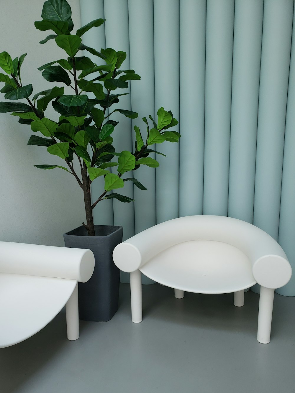 a plant in a black pot next to a white chair