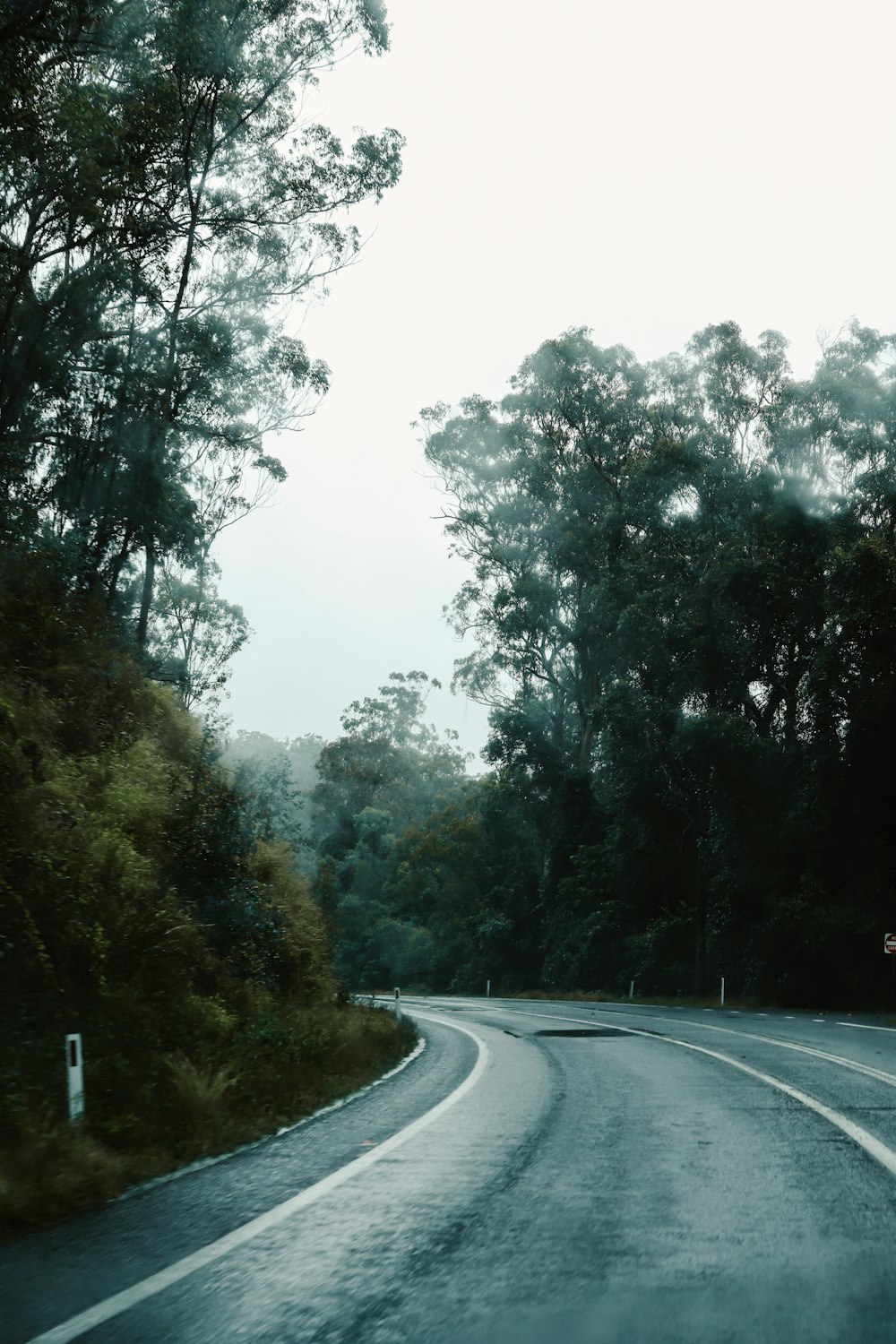 a curved road with trees on both sides