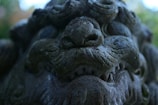 A close-up of a weathered stone sculpture depicting a mythical creature with prominent facial features, including eyes and a snout. Moss and age have given it a textured, aged appearance, adding to its mysterious aura.