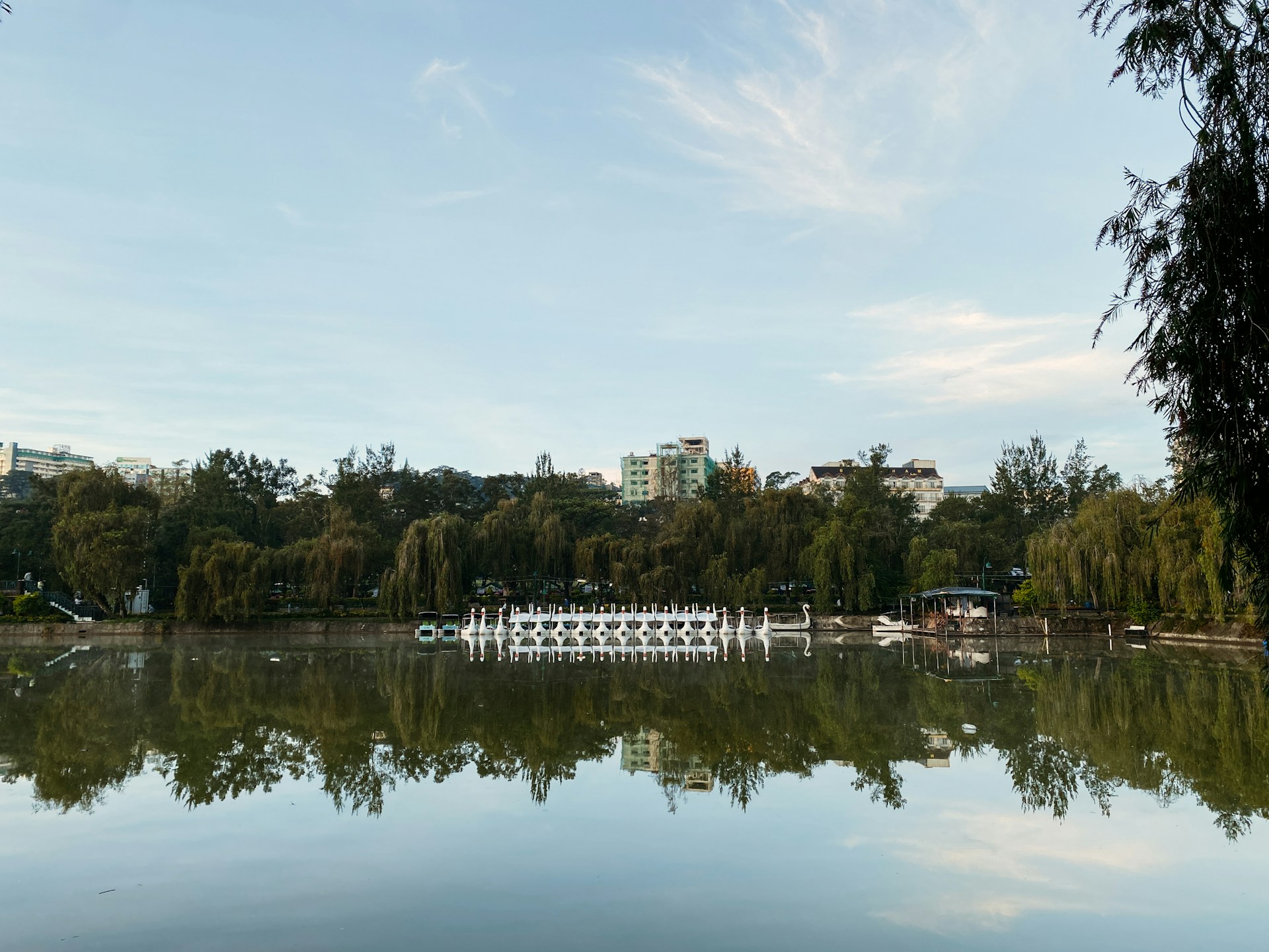a large body of water surrounded by trees