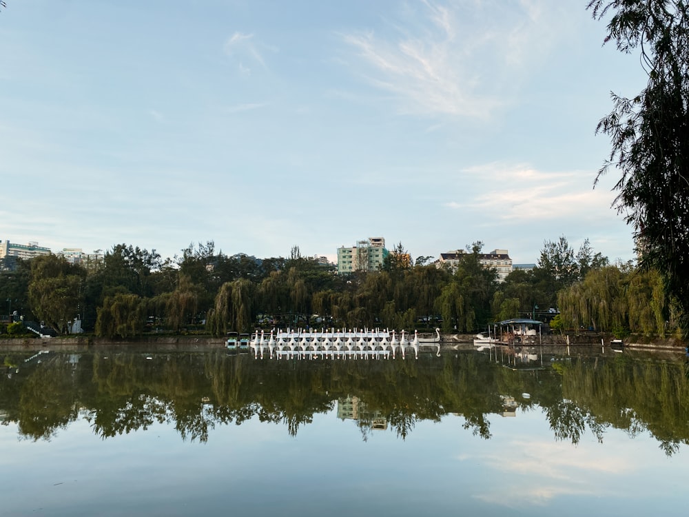 a large body of water surrounded by trees