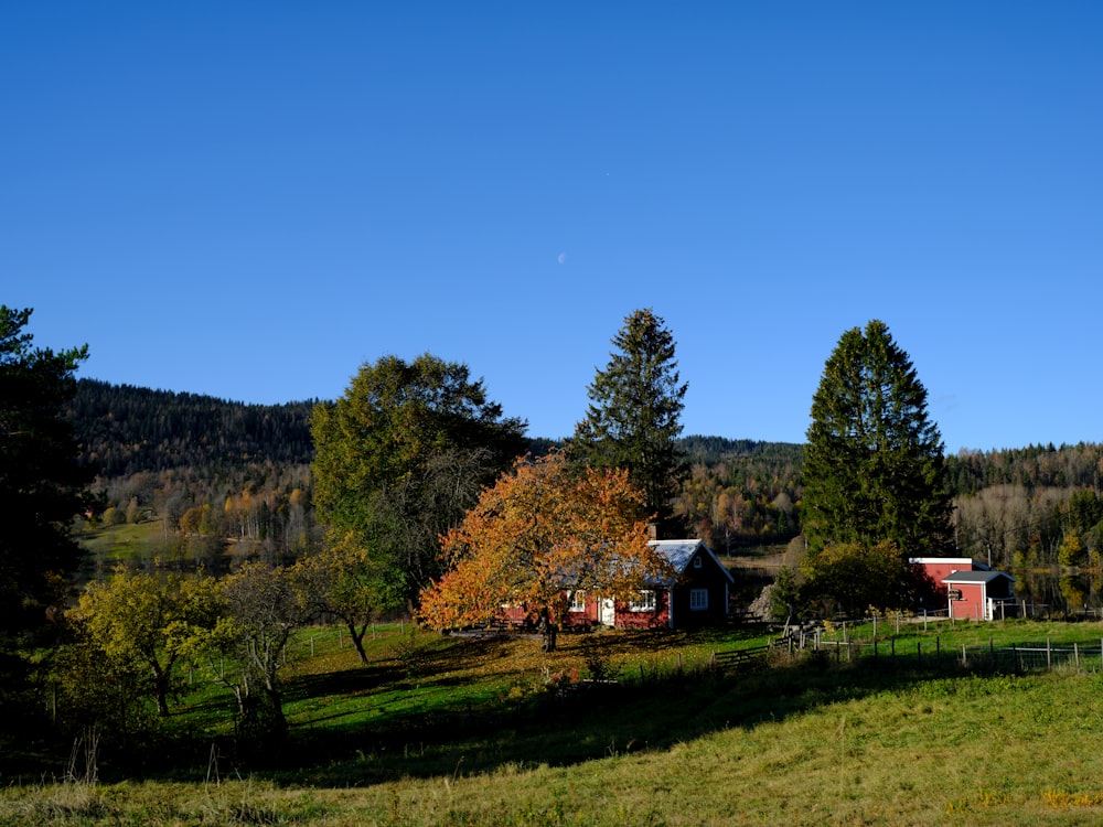 Una casa en medio de un campo cubierto de hierba