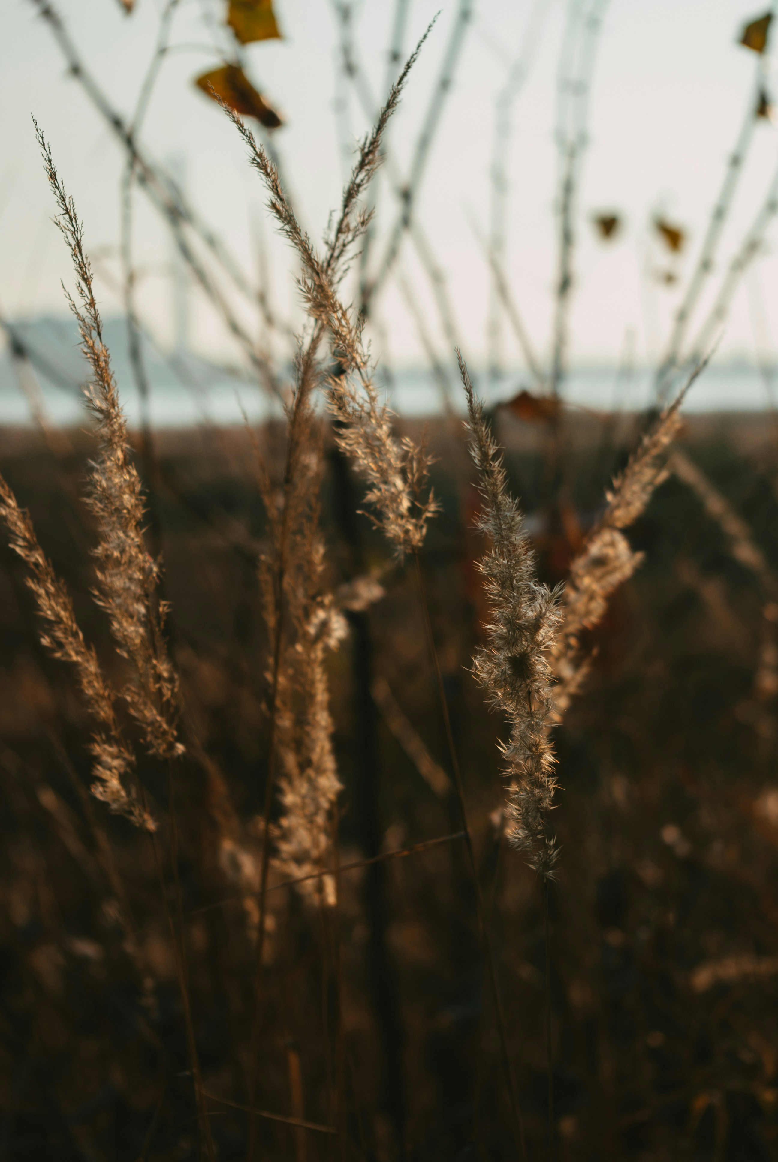 Photo by moonmoons_days