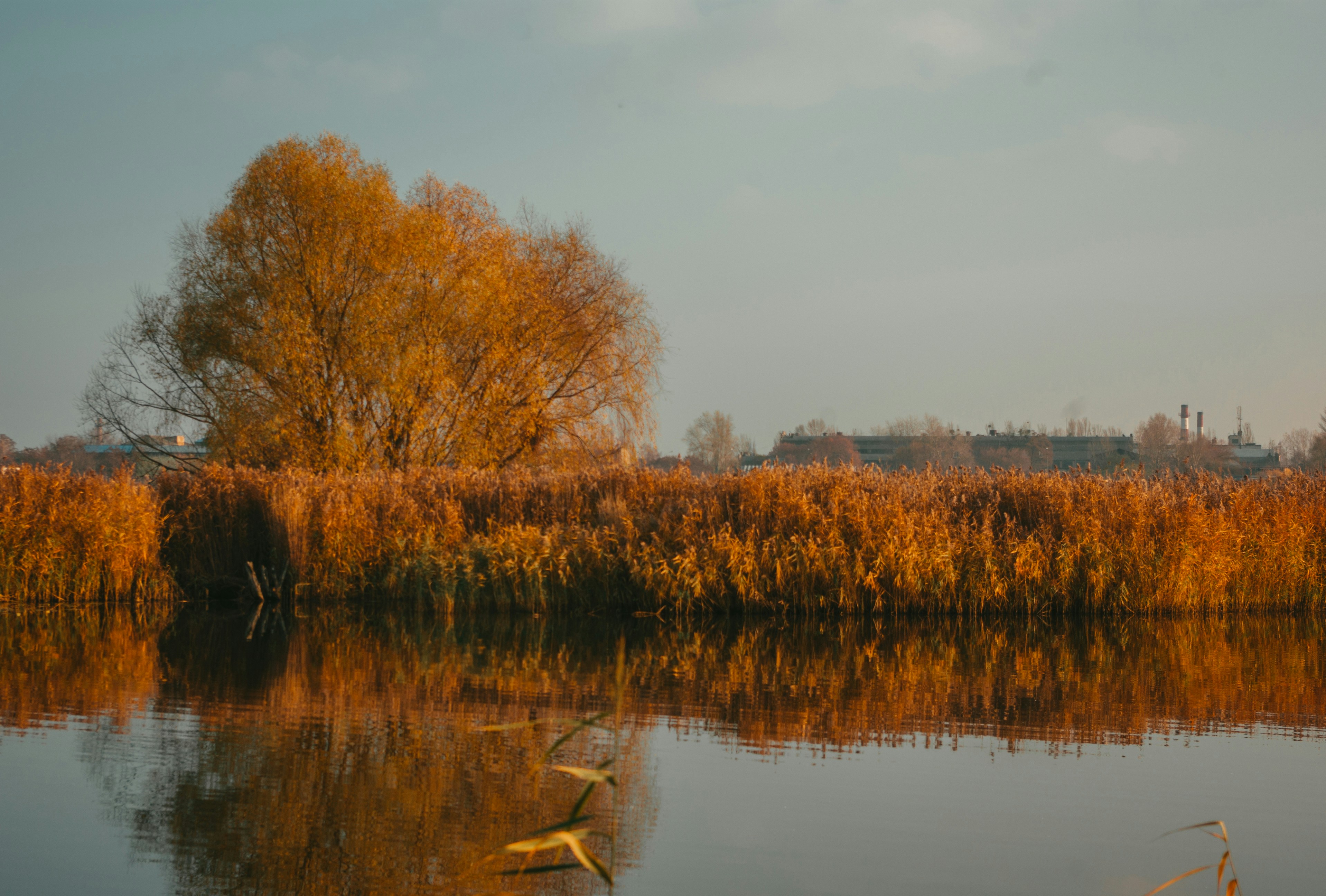 Photo by moonmoons_days