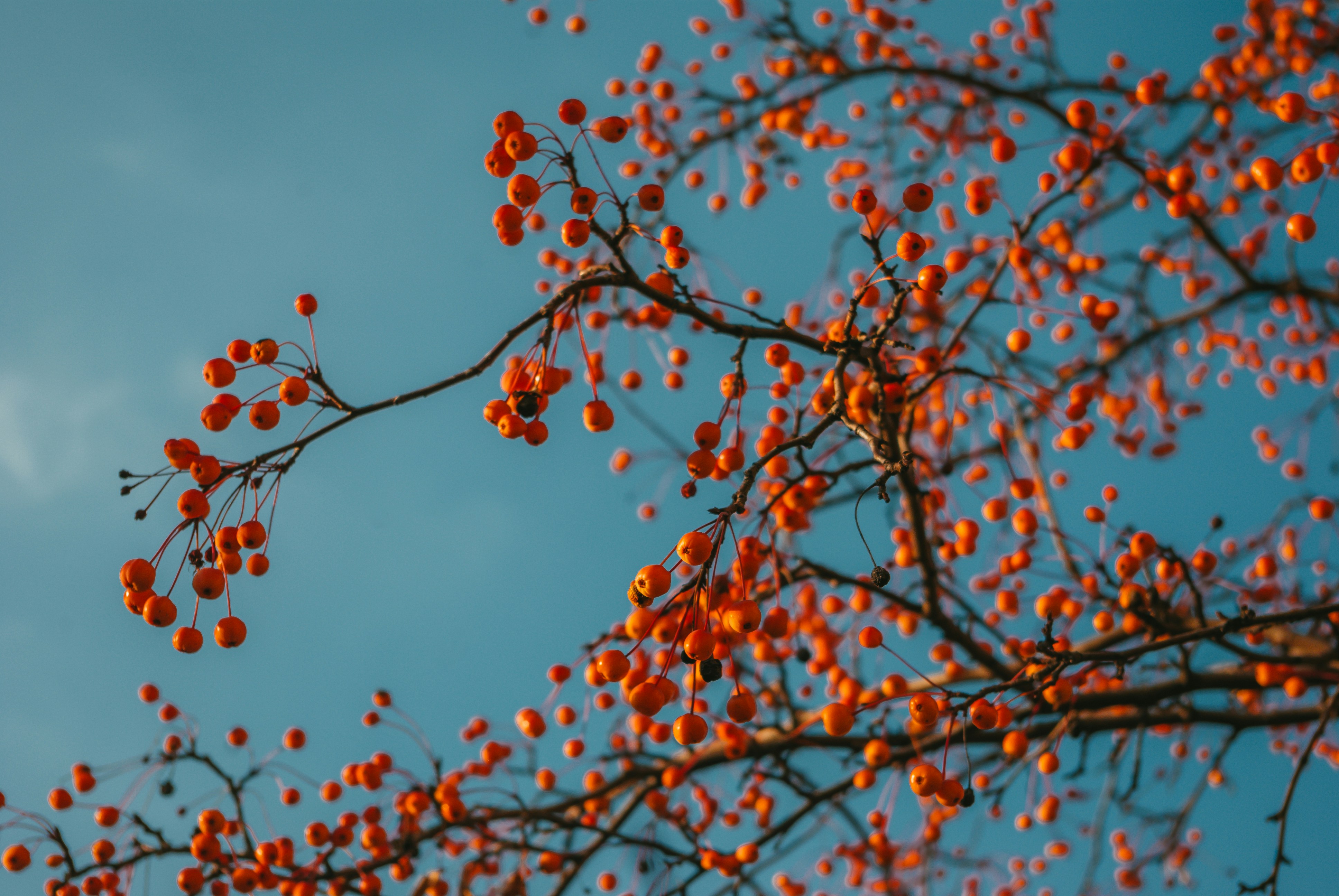 Photo by moonmoons_days