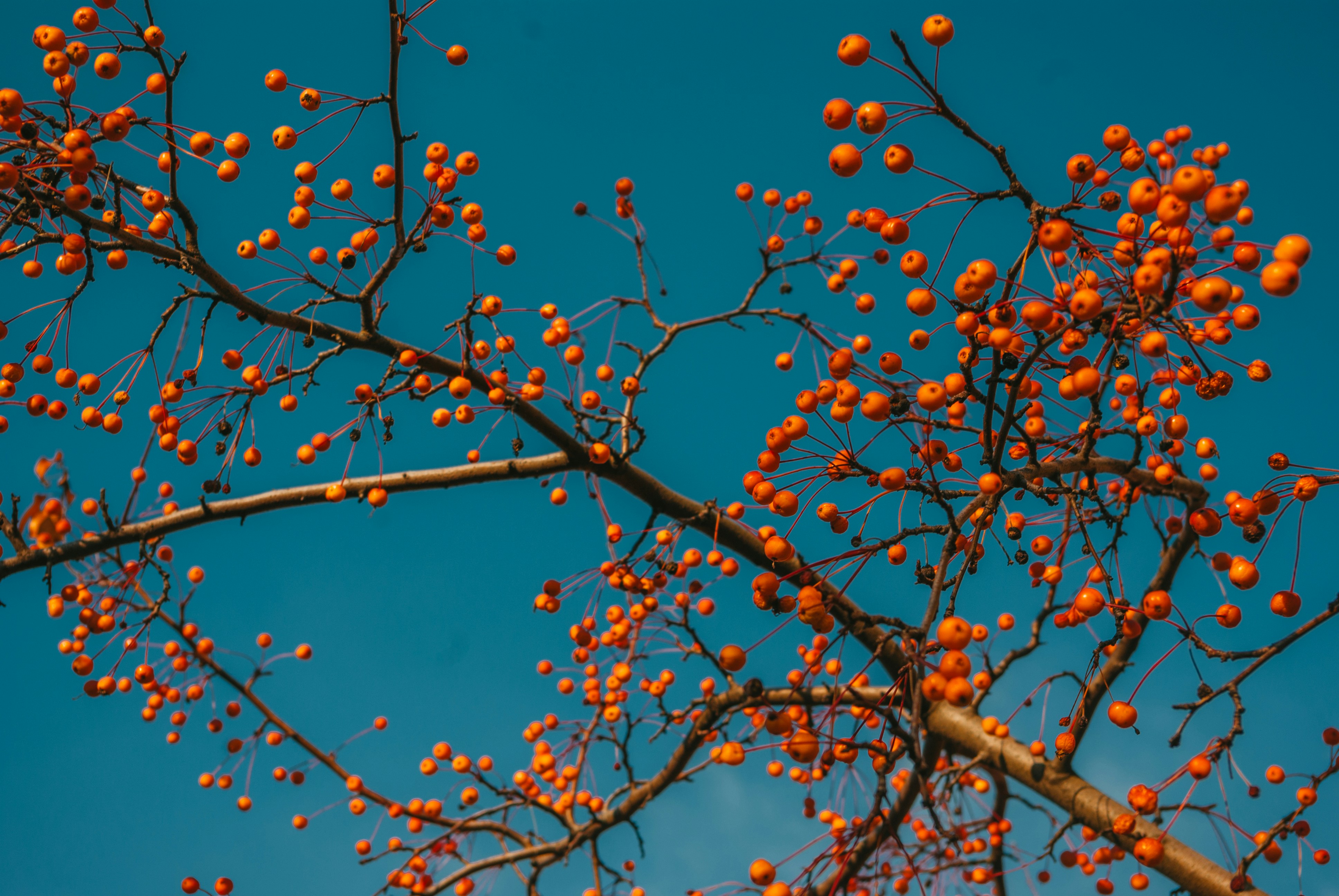 Photo by moonmoons_days