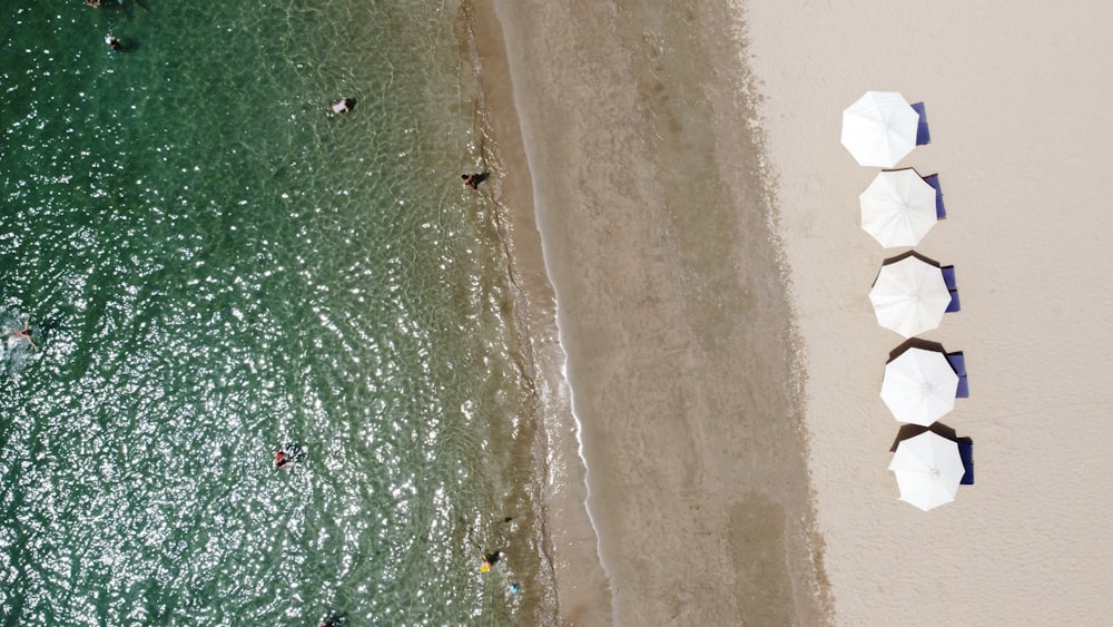 a group of umbrellas sitting on top of a sandy beach