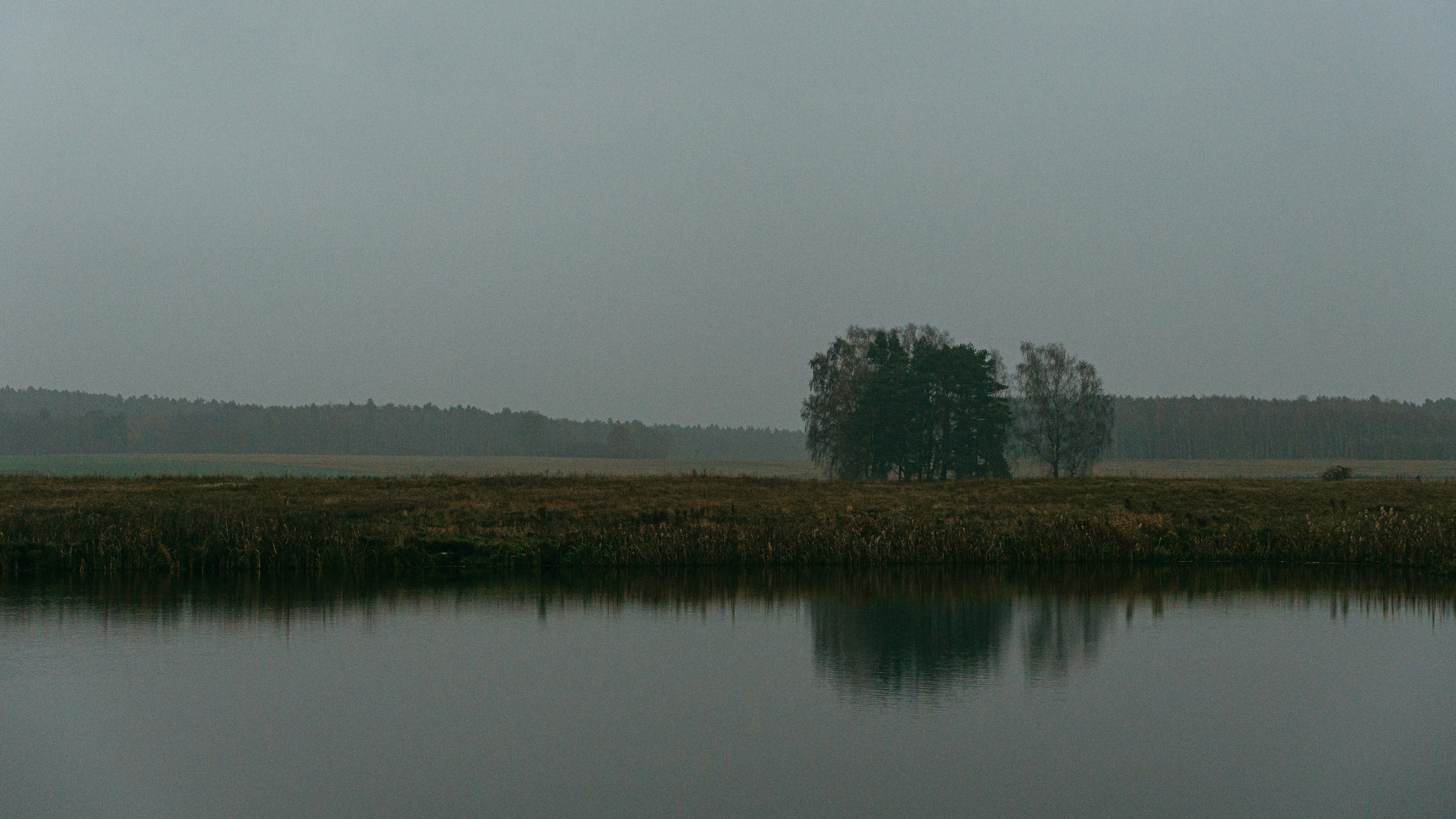 Photo by bielej