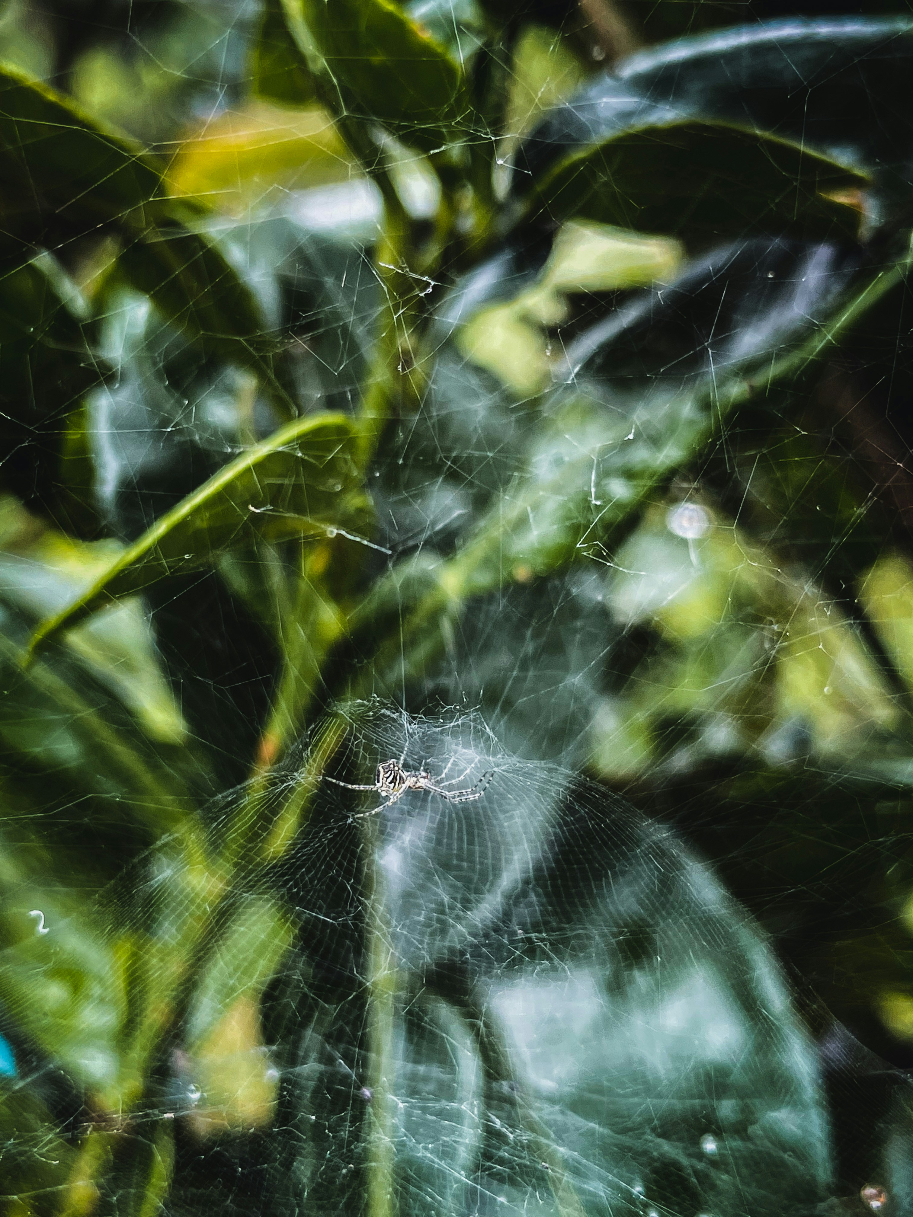 Photo by allensamthomas