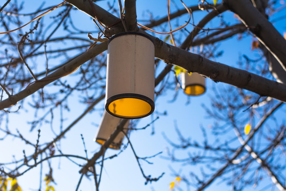 a street light is hanging from a tree