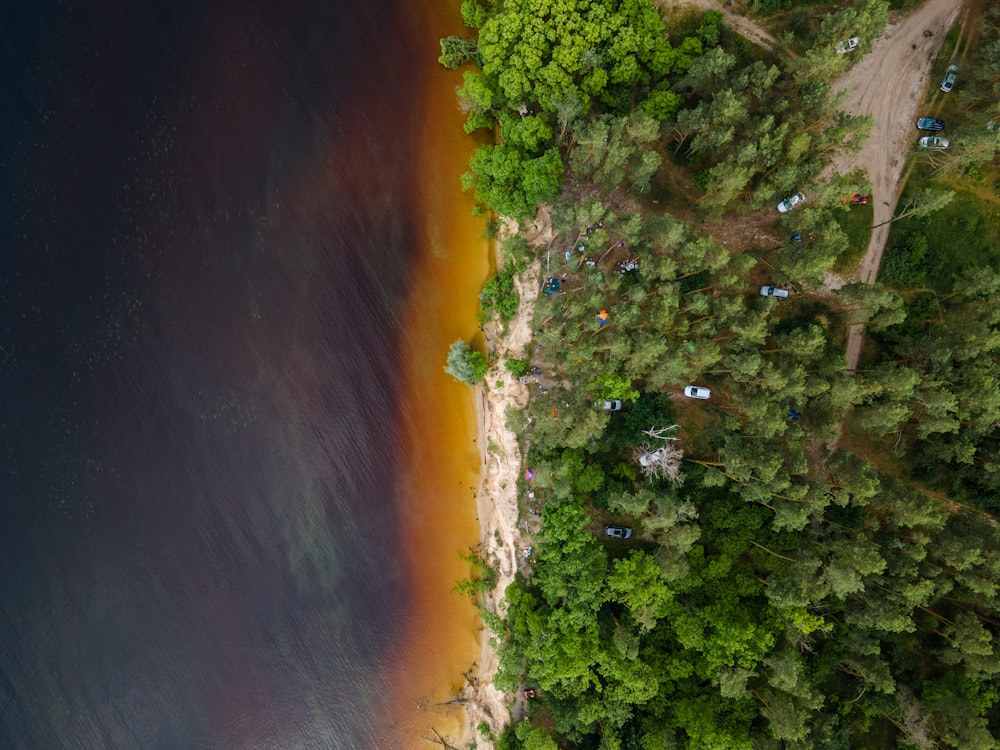 an aerial view of a beach and trees