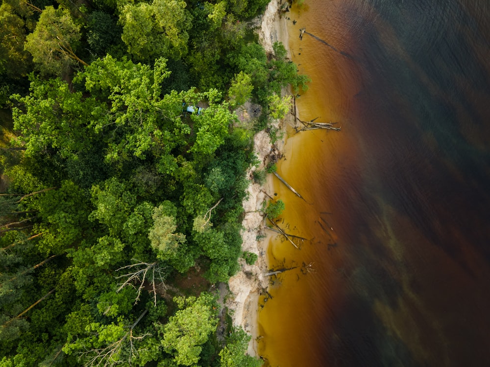 an aerial view of a lake surrounded by trees