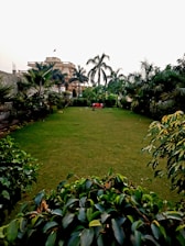 A lush green garden with well-maintained grass, surrounded by various bushes and tall palm trees. In the background, there is a large, elegant building with architectural detailing and a small flag on top. A red chair and some objects are placed in the middle of the lawn.