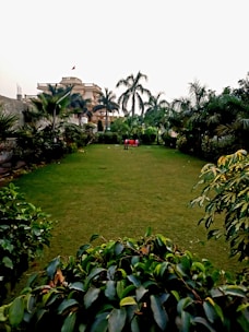 A lush green garden with well-maintained grass, surrounded by various bushes and tall palm trees. In the background, there is a large, elegant building with architectural detailing and a small flag on top. A red chair and some objects are placed in the middle of the lawn.