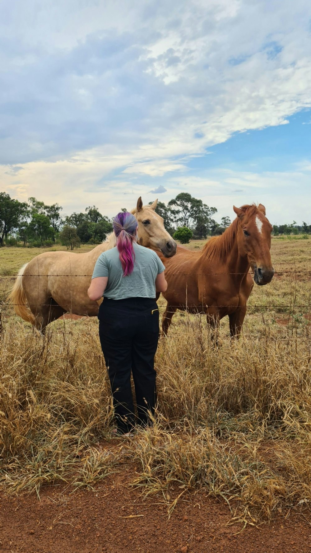 a woman standing next to two horses in a field