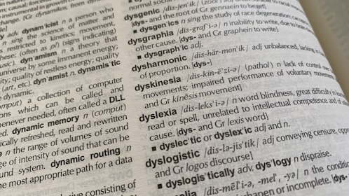 what is dylexia
