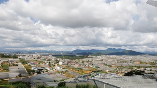 A panoramic view of the farm showcasing various crops.