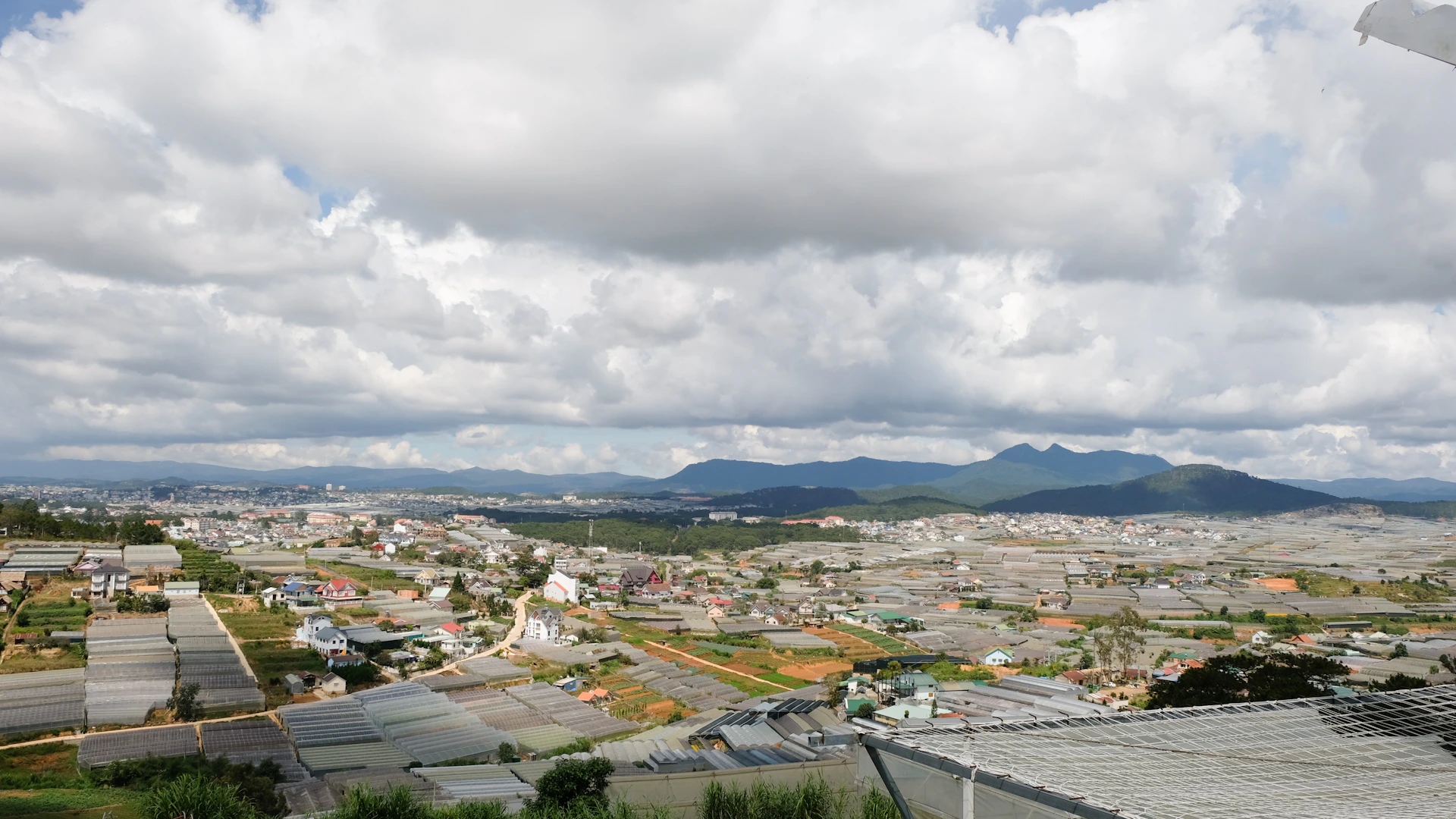 woman wearing yellow long-sleeved dress under white clouds and blue sky during daytime