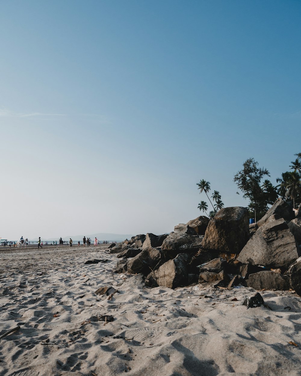 une plage de sable avec des rochers et des palmiers