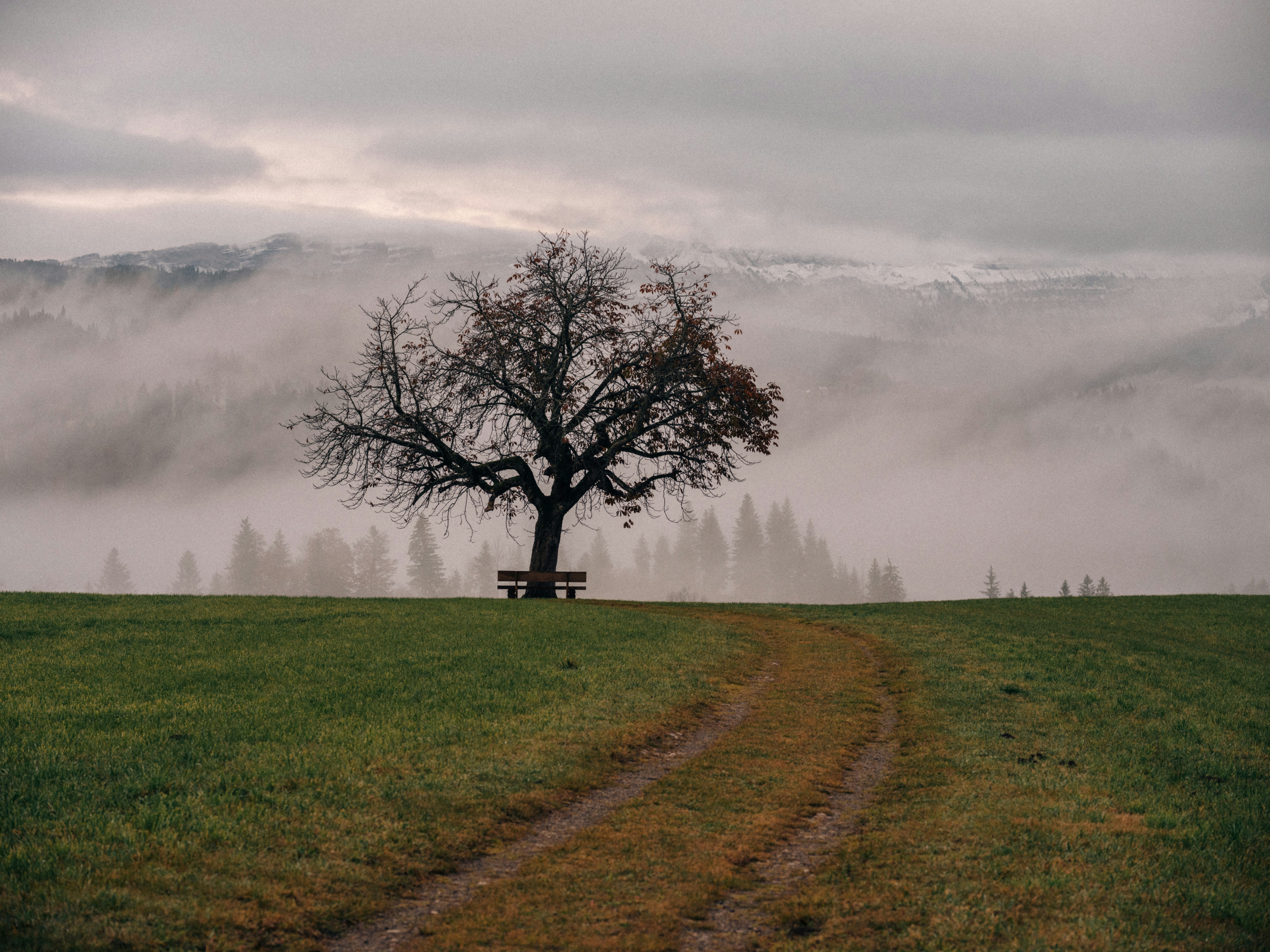 Photo by fabianbetto