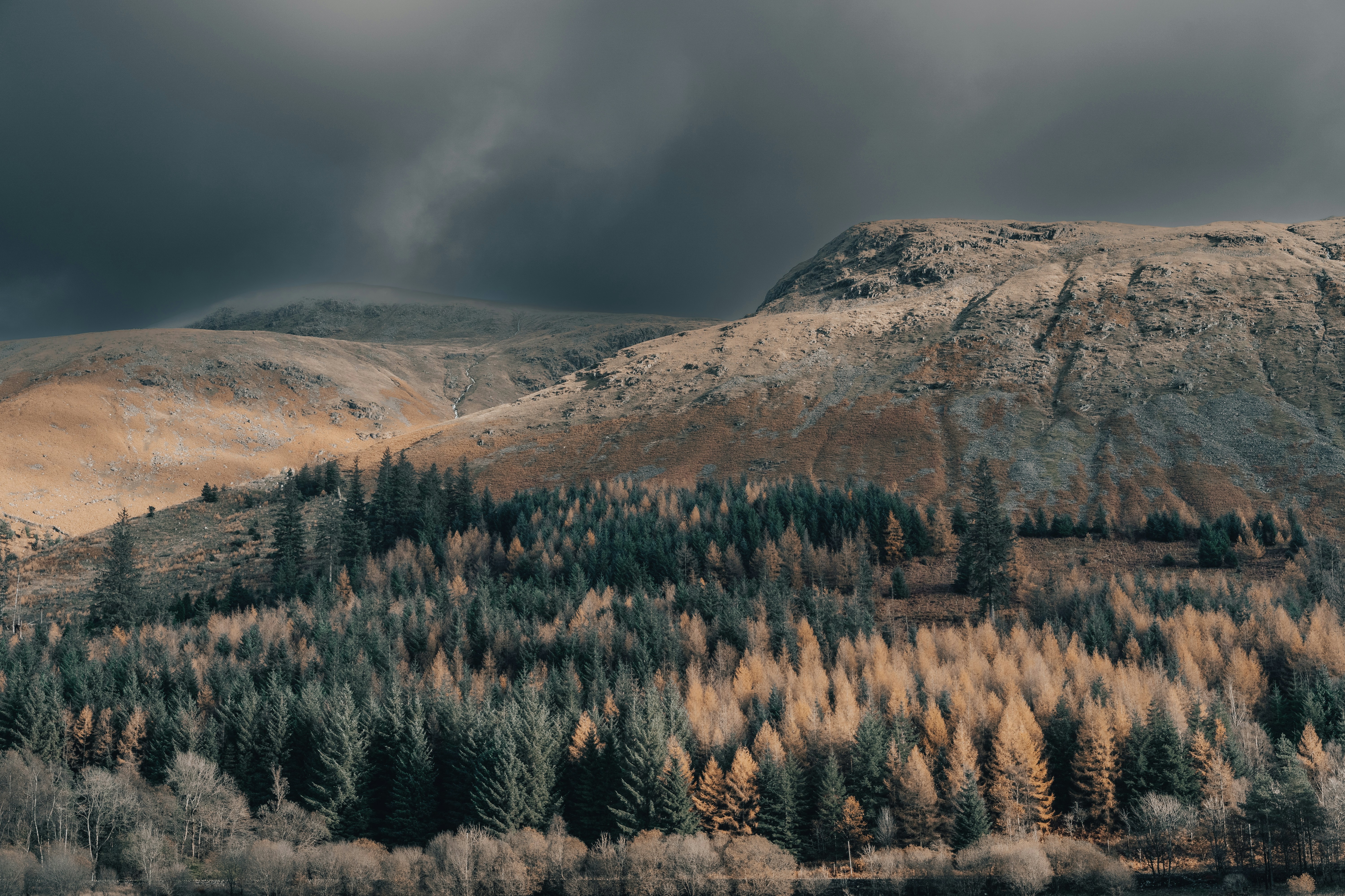 Semaglutide in Scotland, SD: A Practical Local Guide to GLP-1 Weight Loss Support