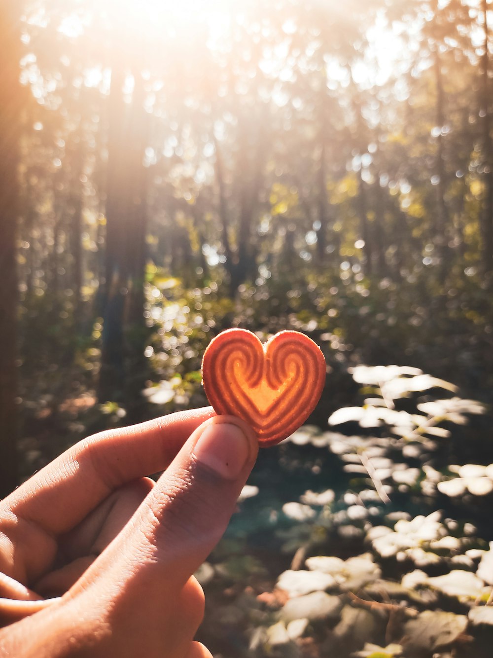 a person holding a heart shaped object in their hand