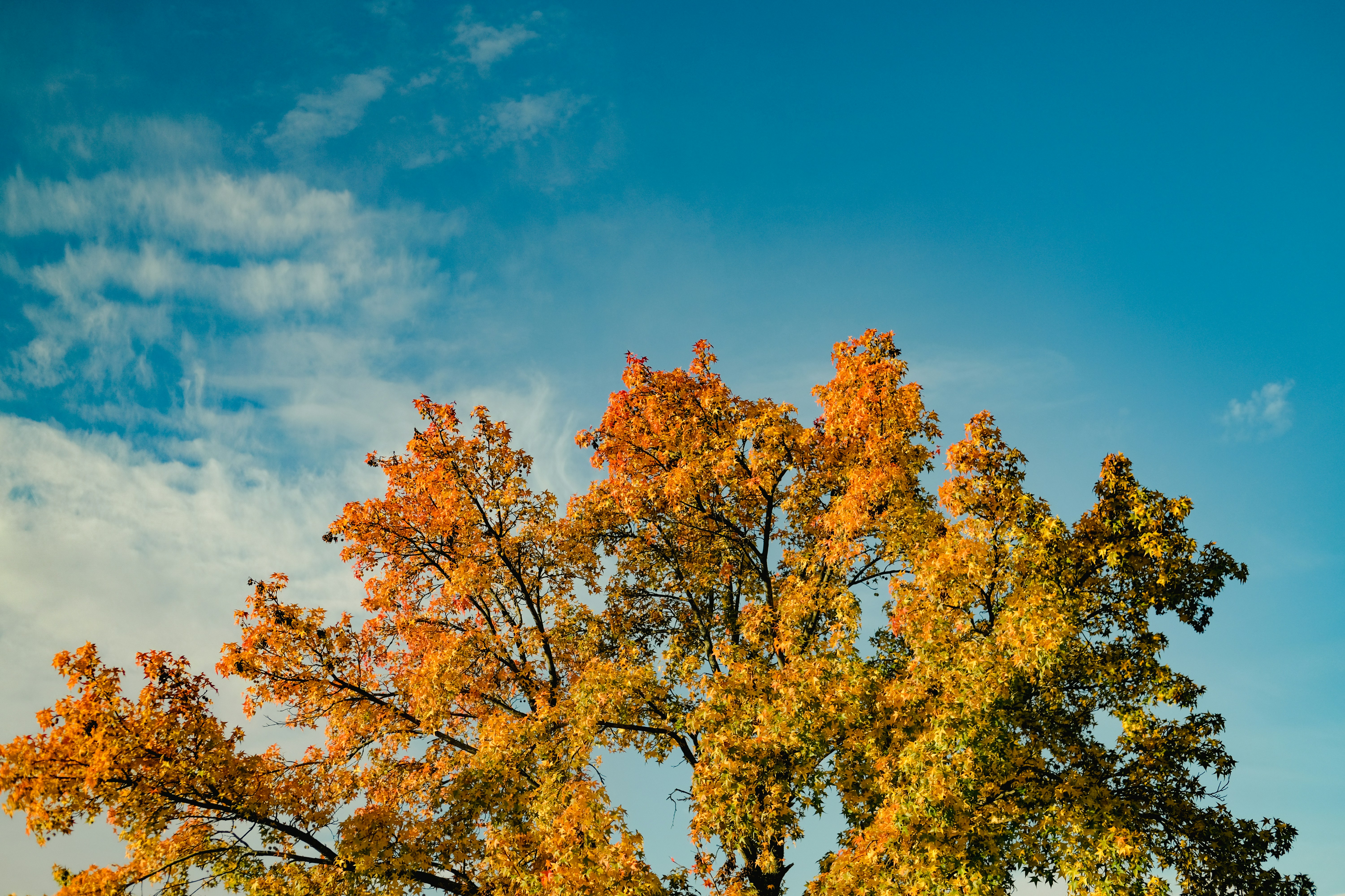 Photo by aylameinberg