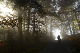 a person riding a bike on a trail in the woods