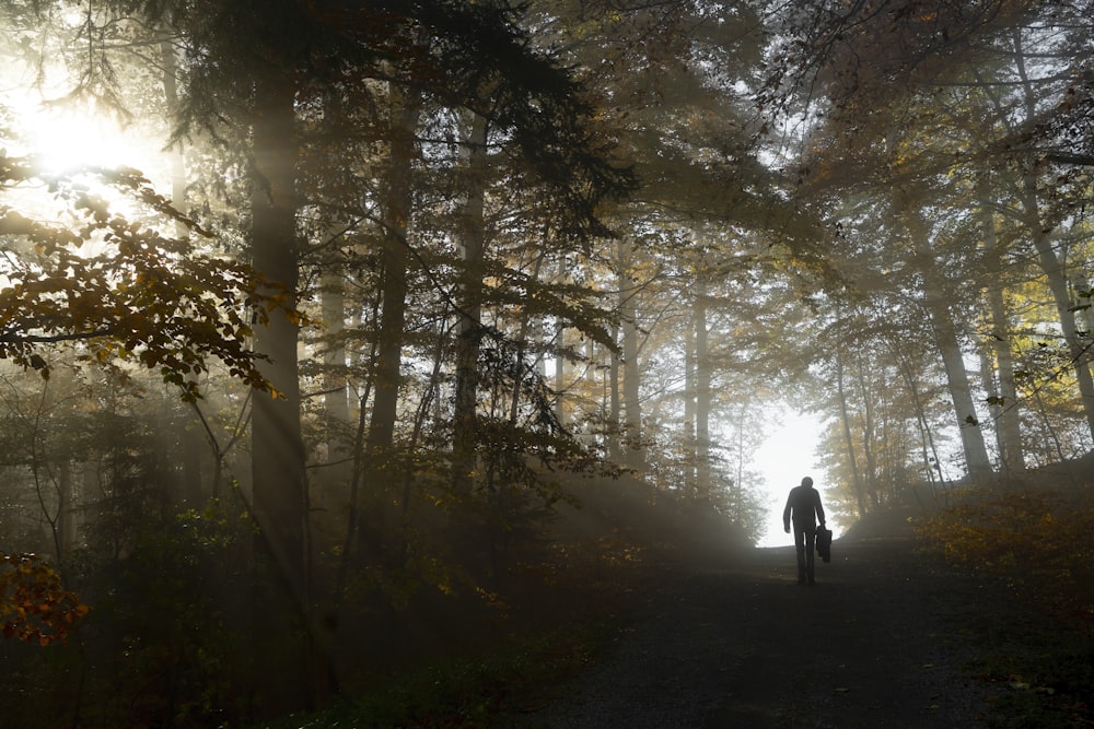 a person riding a bike on a trail in the woods