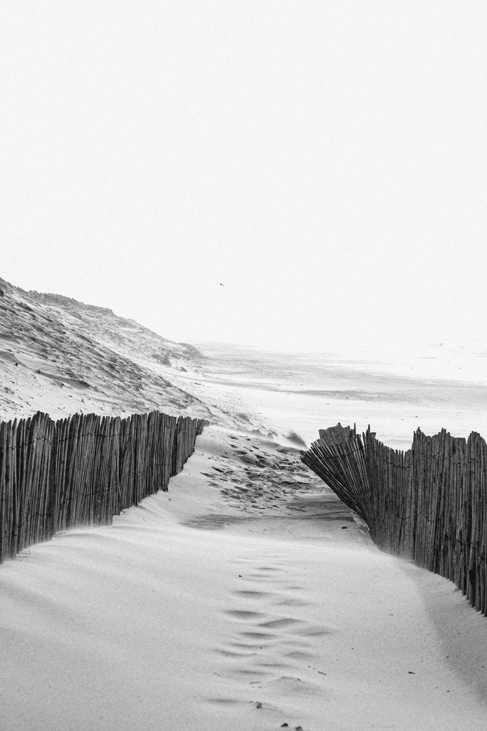 a black and white photo of a path in the sand