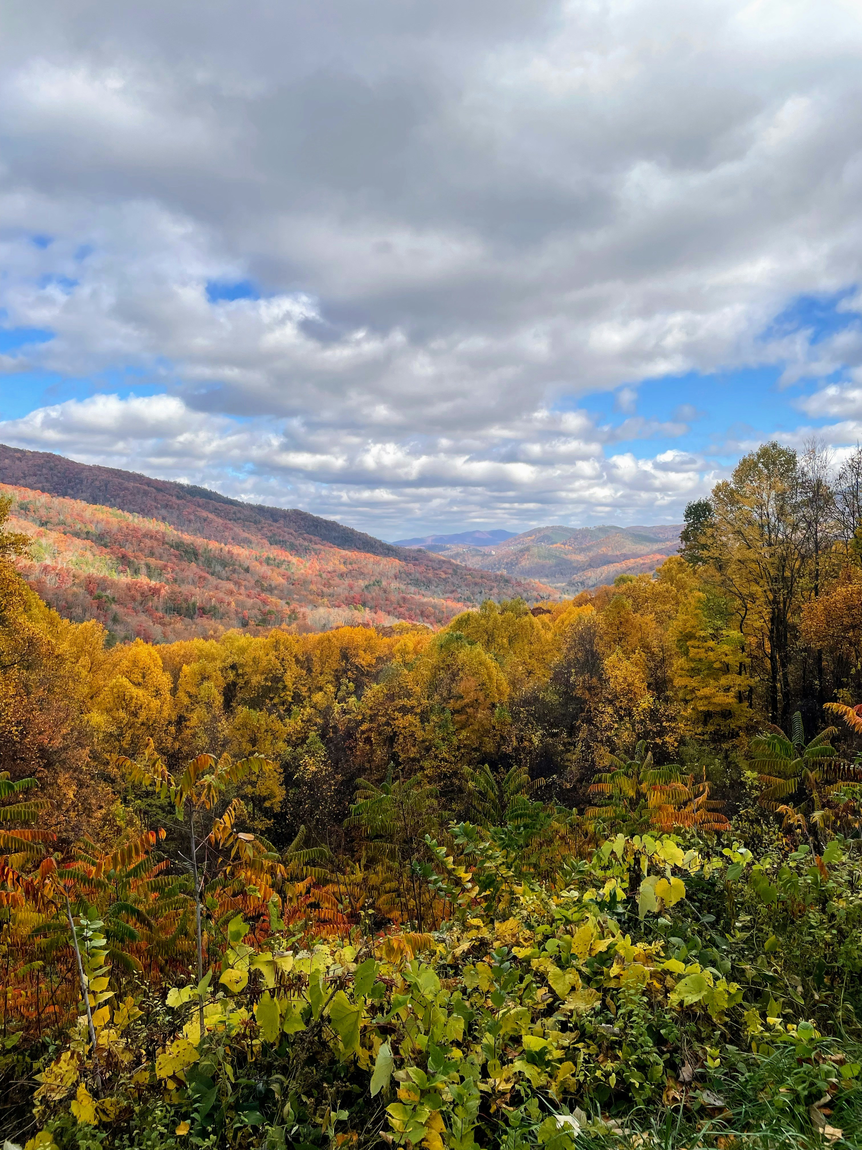 Photo by brice_cooper18