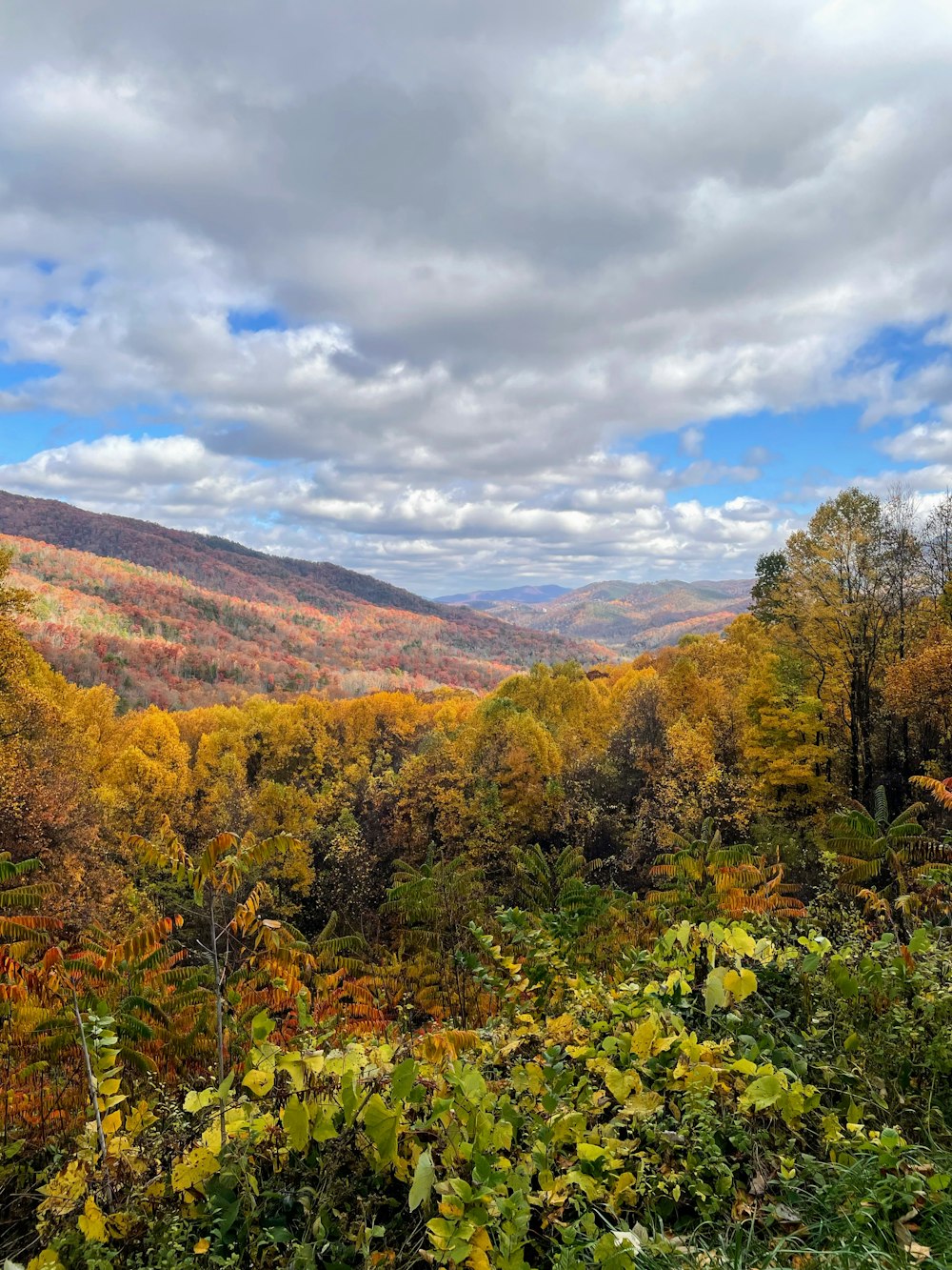 a scenic view of the mountains in the fall