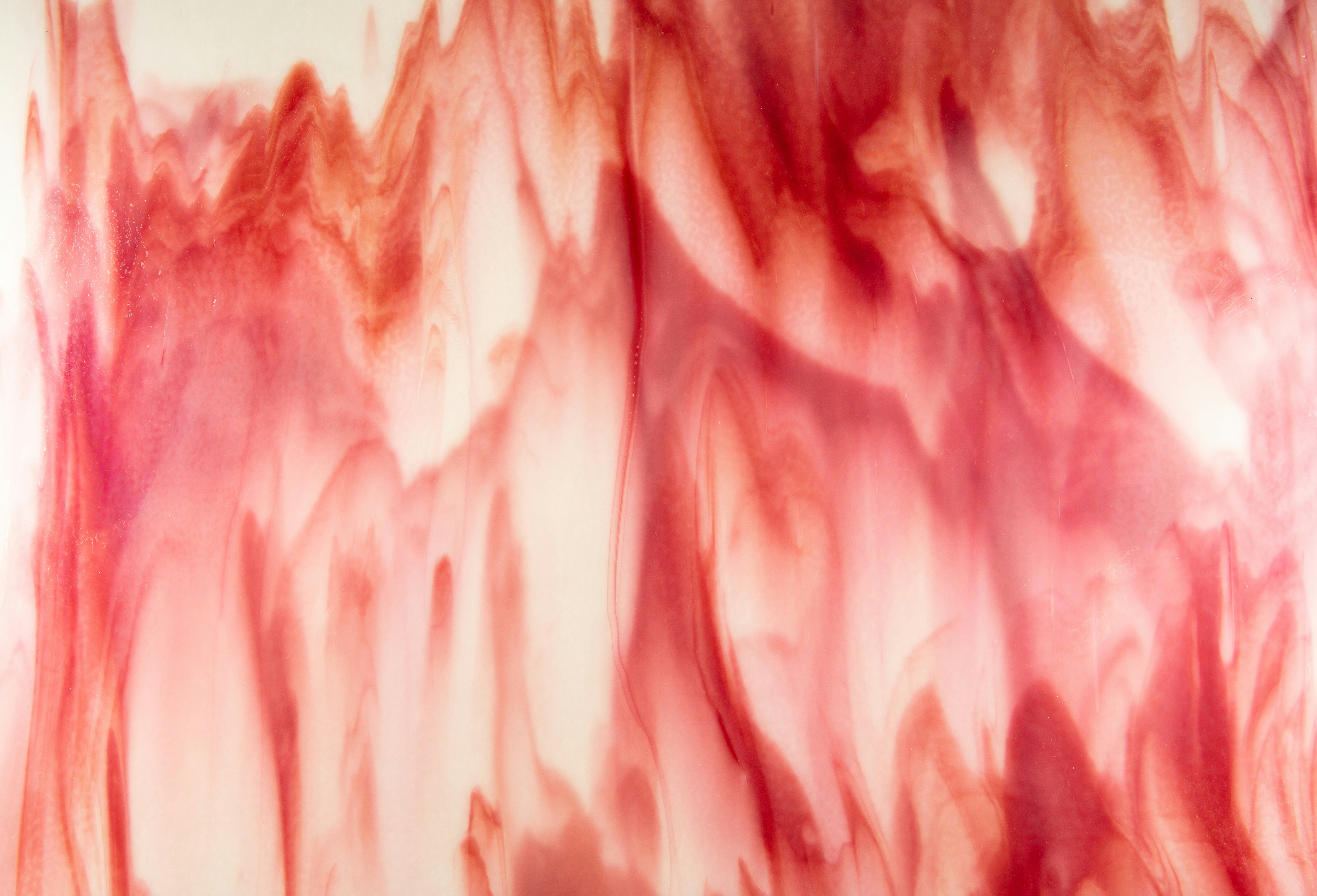 Photo by wilhelmgunkel