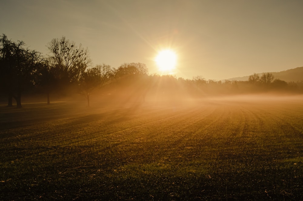the sun shining through the fog in a field
