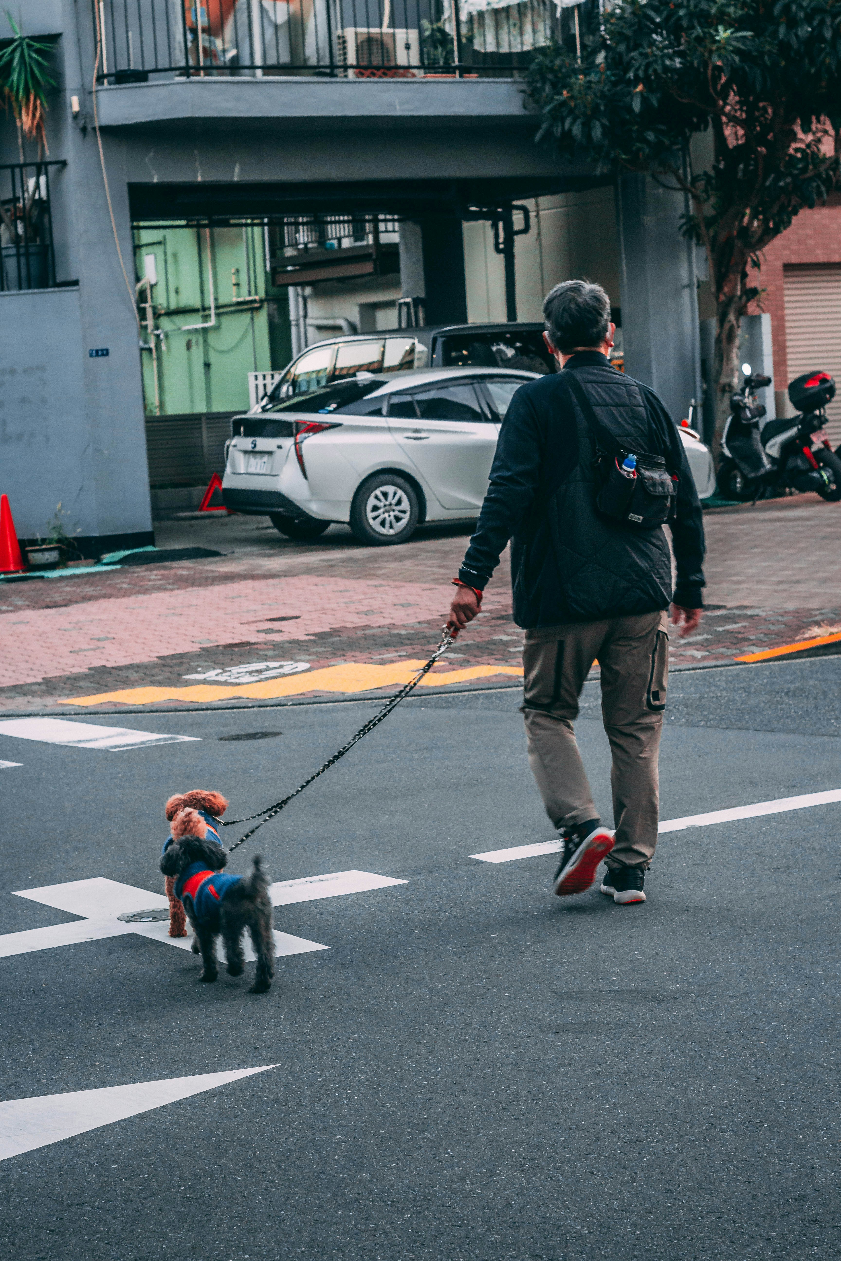 Photo by kanchanrp
