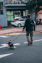 a man walking a small dog down a street