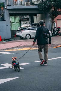 a man walking a small dog down a street