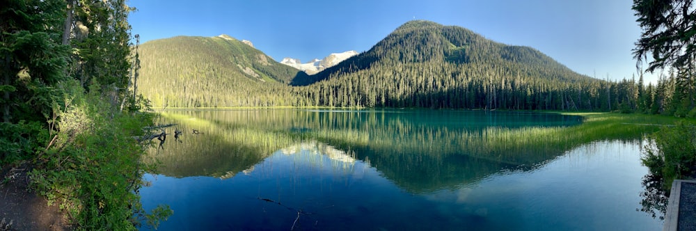 Ein See, umgeben von Bäumen und Bergen