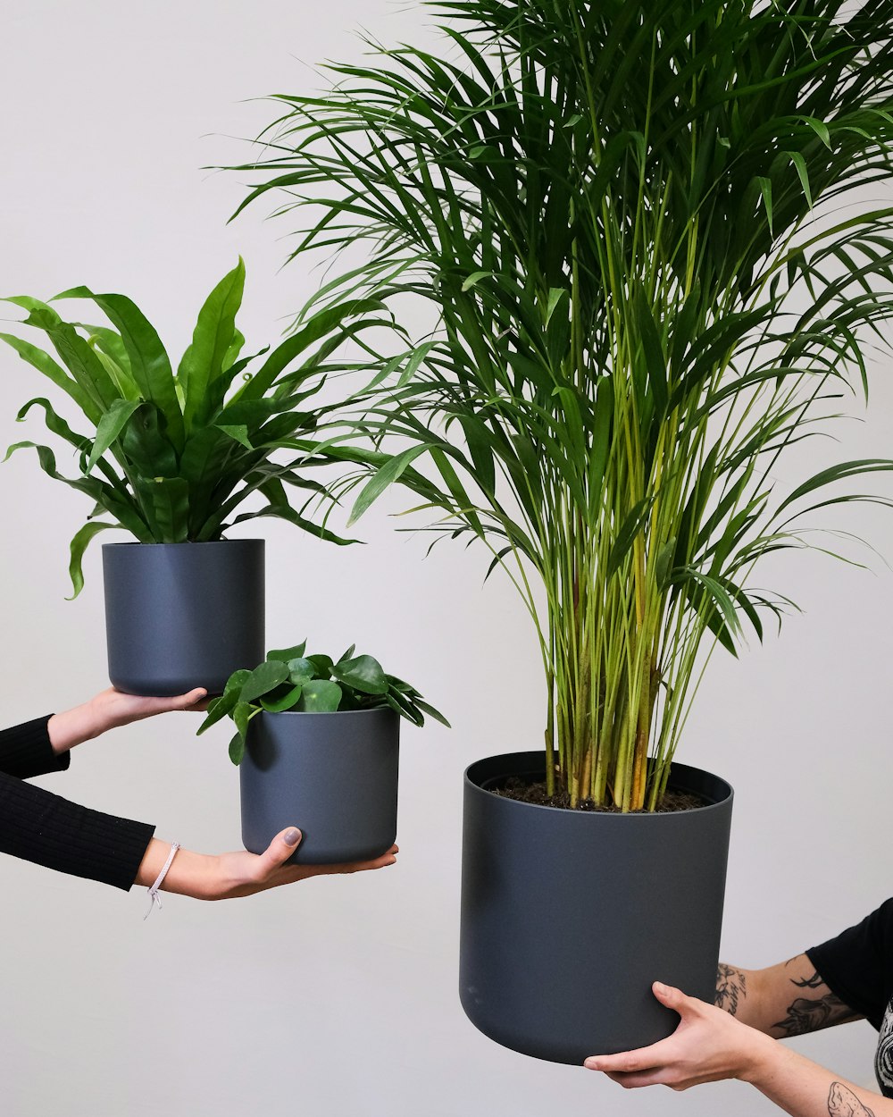 a couple of people that are holding some plants