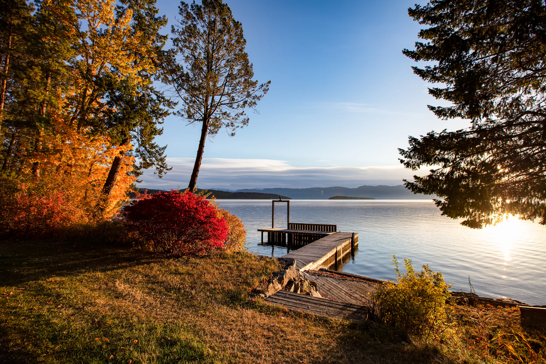 Dock extending into a tree-lined lake