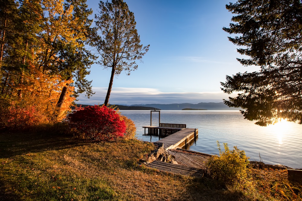 a dock on a lake surrounded by trees