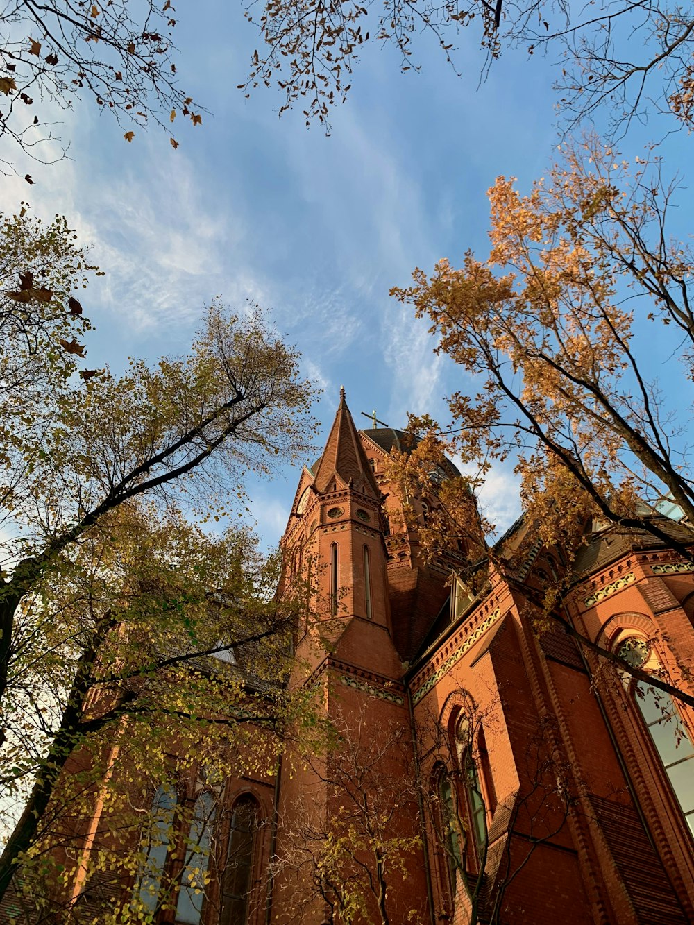 a tall building surrounded by trees and leaves