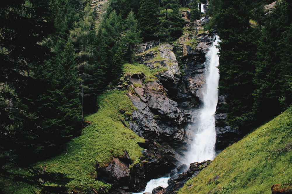 a waterfall in the middle of a forest