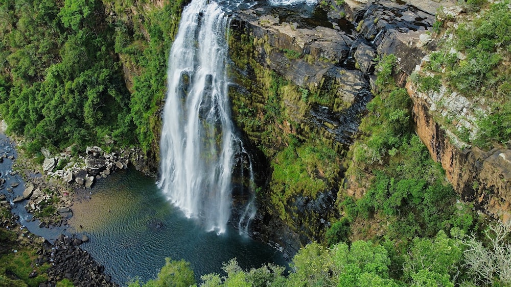 a waterfall in the middle of a lush green forest