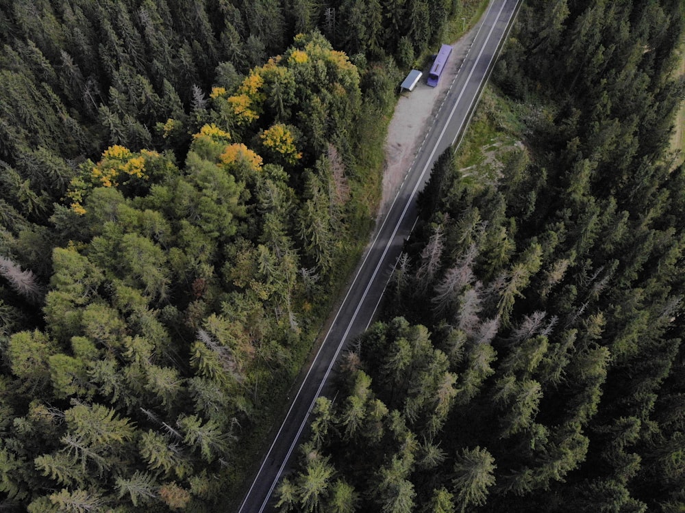 an aerial view of a road in the middle of a forest