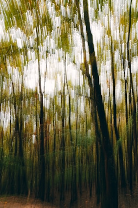 Trees in a forest with a blurred vertical motion effect creating a surreal and dynamic atmosphere.